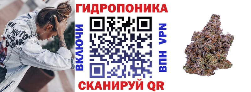 купить   кракен   Канабис ГИДРОПОН  Зерноград 